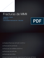 FX MMII PDF