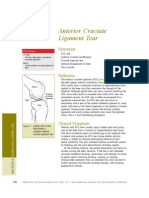 Anterior Cruciate Ligament Tear: Synonyms