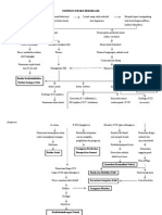 Patofisiologi SH