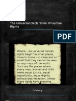 The UDHR