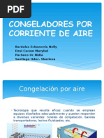 Congeladores Por Corriente de Aire