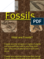 Fossils