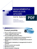 Managementul Riscului in Afaceri PDF