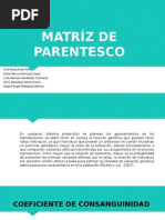 Matriz de Parentesco