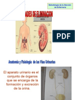 Diapositiva - Eliminacion Urinaria (Metodologia)