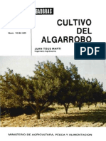 Cultivo Del Algarrobo PDF