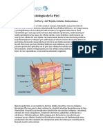 Anatomía y Fisiología de La Piel