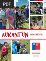 Akantun 2015