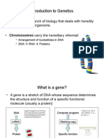 Mendelian Genetics - PPT Iiird Sem