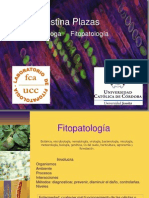 Ascomycota Patologia PDF