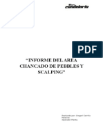 Informe Pebbles 2015