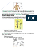 Caracteristicas Del Sistema Nervioso