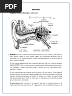 El Sonido