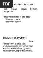 Endocrine System