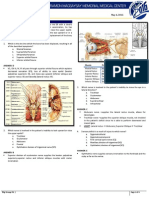 BRT Anatomy - Neuroanatomy