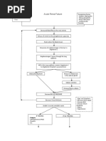 ARF Pathophysiology