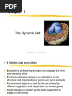 Chapter01 The Dynamic Cell