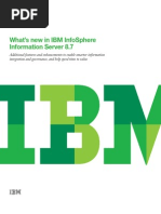 What'S New in Ibm Infosphere Information Server 8.7