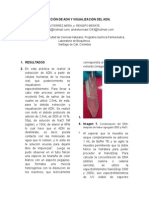 Informe Extraccion Del ADN