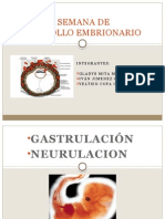 Tercera Semana de Desarrollo Embrionario Final