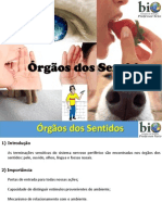 Fisiologia - Órgãos Dos Sentidos (8º Ano)