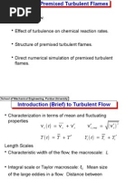 Premixed Turbulent Flame
