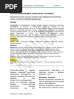 Identificacion Bioquimica de Clamidia Trocomatis Aa