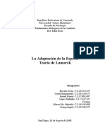 Informe de La Adaptacion