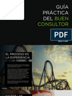 Guía Del Consultor INSITUM PDF