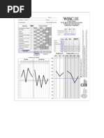 Ejemplo Protocolo Lleno Wisc III