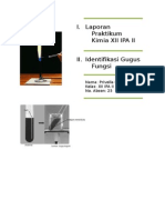 Laporan Uji Nyala Dan Indetifikasi Gugus
