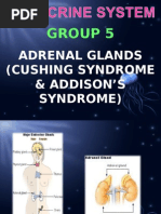 Adrenal Glands