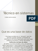 Presentacion Power Point de La Base de Datos