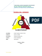 4 Teoria Del Vernier