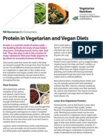 Protein Vegetarian Nutrition