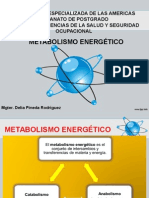 Metabolismo Energético