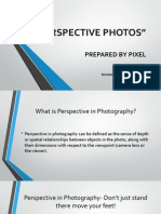 Perspective Photos PDF