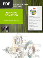 Termino Somatico