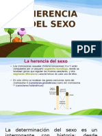 Gentica Del Sexo