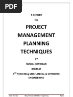 Project Management Report