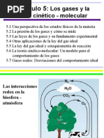 05 - Gases y Teoria Cinetica, SILBERBERG