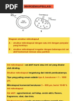 (Kul 6) Mikroenkapsulasi