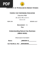 Assignment 1-Understanding Natural Gas Business