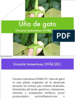 Plantas Antirreumaticas