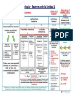 Antropología - Esquema de La Unidad 1 PDF