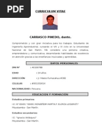 Curriculum Vitae. Dante Carrasco