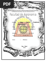 Principios de Cosecha (Alcachofa)