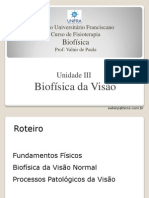 Aula 10 Biofísica Da Visão PDF