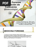 Medicina Forense Investigacion de Cadaveres