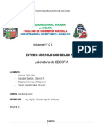 Informe Nº1 Hidraulica Fluvial